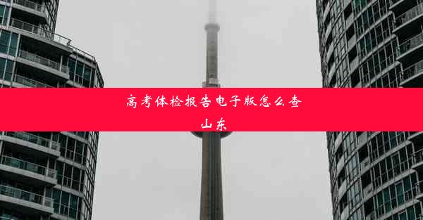 高考体检报告电子版怎么查山东