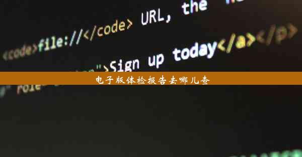 电子版体检报告去哪儿查