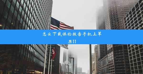 怎么下载体检报告手机上苹果11