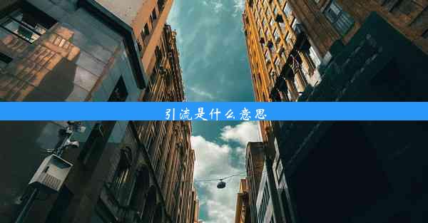 引流是什么意思