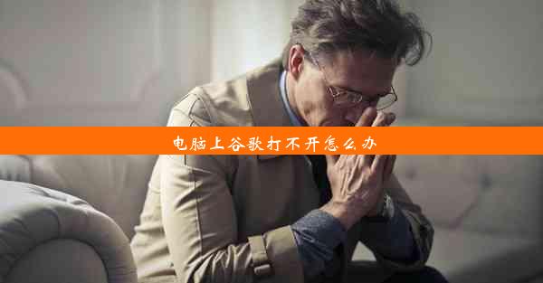 电脑上谷歌打不开怎么办