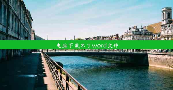 电脑下载不了word文件