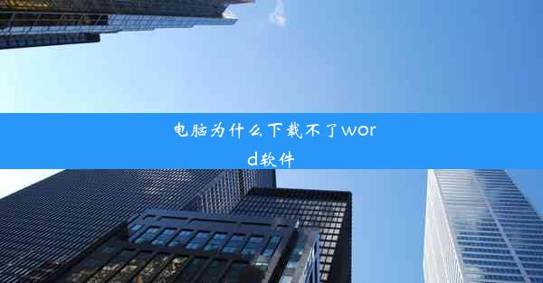 电脑为什么下载不了word软件