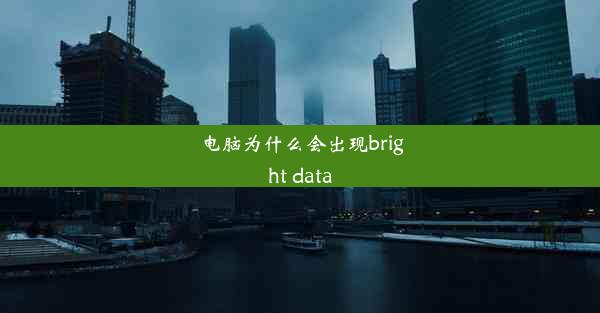 电脑为什么会出现bright data