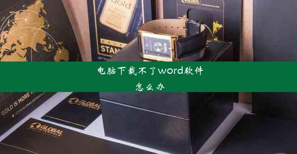 电脑下载不了word软件怎么办