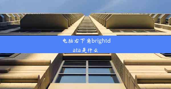 电脑右下角brightdata是什么